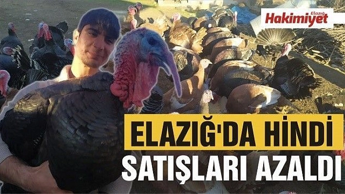 Elazığ'da hindi satışları azaldı 