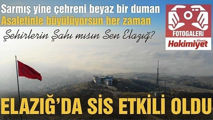 Elazığ'da sis etkili oldu