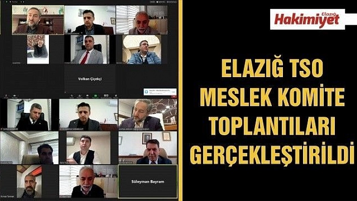 MESLEK KOMİTE TOPLANTILARI GERÇEKLEŞTİRİLDİ