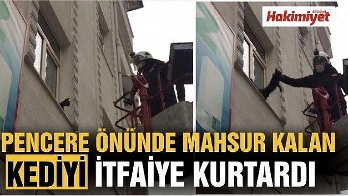 Pencere önünde mahsur kalan kediyi itfaiye kurtardı