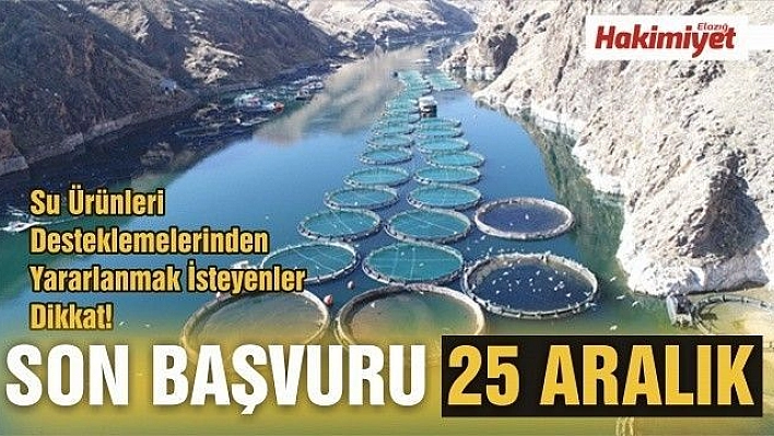 Su ürünleri desteklemelerinden yararlanmak isteyenler dikkat! Son başvuru tarihi 25 Aralık