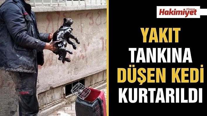 Yakıt tankına düşen kedi kurtarıldı