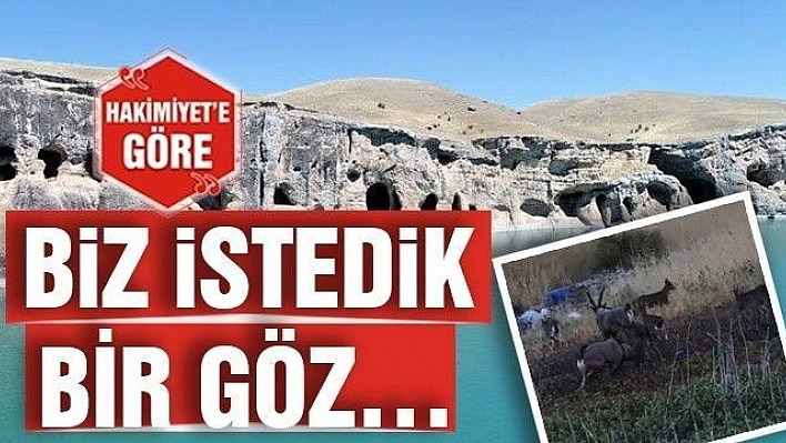 BİZ İSTEDİK BİR GÖZ…