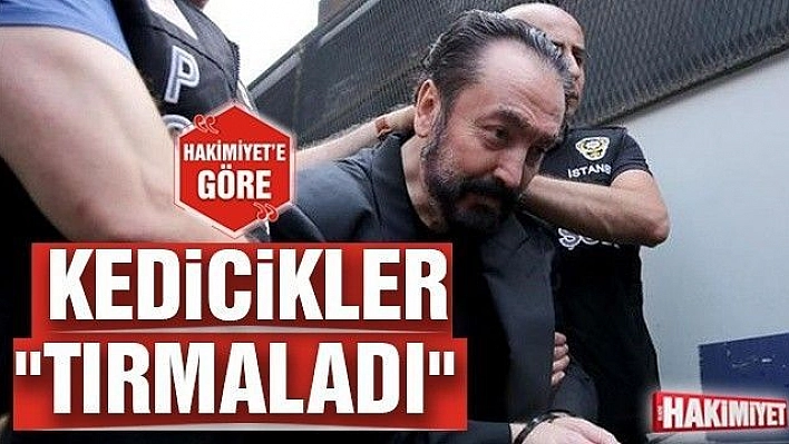 KEDİCİKLER 'TIRMALADI'