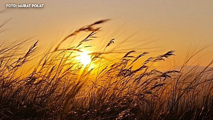 26 Ekim Elazığ hava durumu