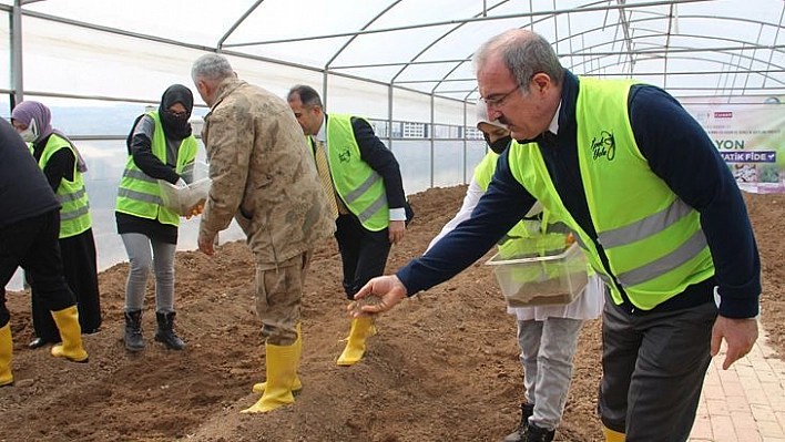 3 Milyon Aromatik Fide Tohumu Toprakla Buluştu