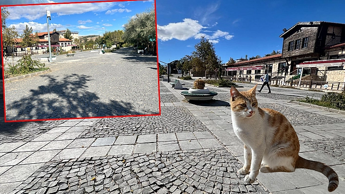 4 bin yıllık Harput sessizliğe büründü