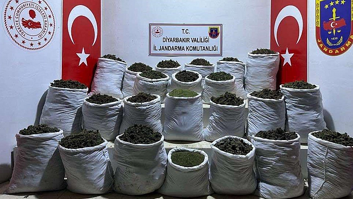 435 Kilo Esrar Ve 632 Bin 120 Kök Esrar Bitkisi Ele Geçirildi