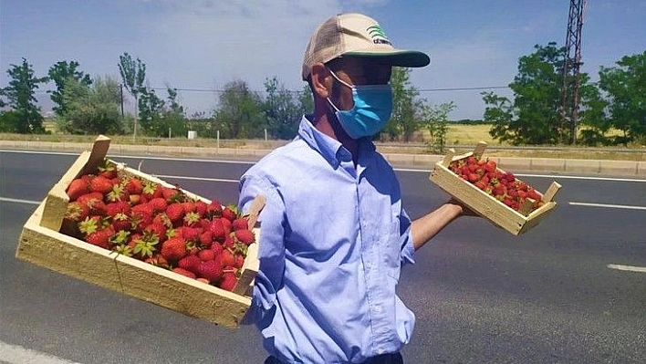 48 yıldır meşhur 'Kuyulu' çileğini yol kenarında satıyor