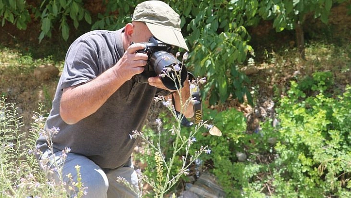 Adım adım gezdiği doğada 150 tür kelebeği fotoğraflamayı başardı