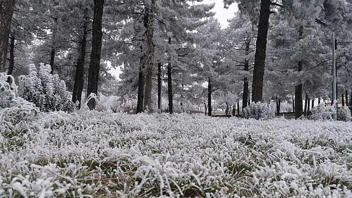 AFAD'dan 'don ve tipi' uyarısı