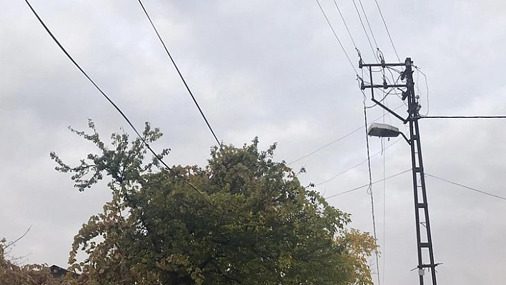 Ağaçların Arasında Kalan Elektrik Telleri Tehlike Saçıyor, Vatandaşlar Çözüm Bekliyor