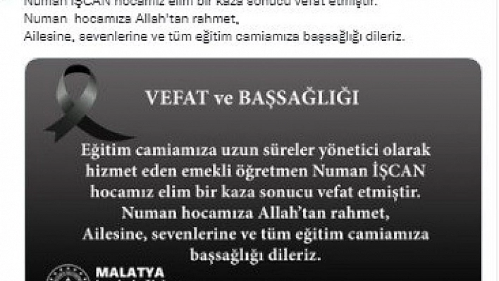 Ağaçtan düşen emekli müdür hayatını kaybetti