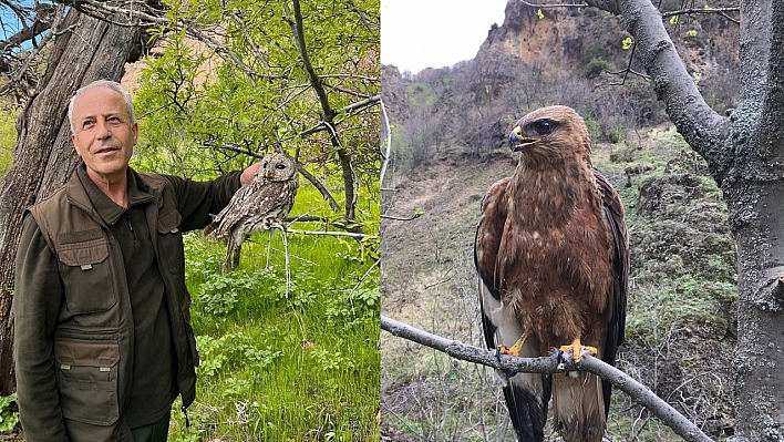 Alaca Baykuş ve Kızıl Şahin Doğaya Bırakıldı