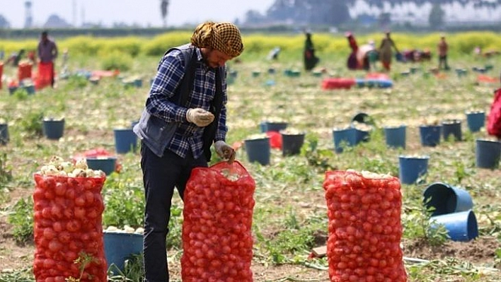 Alım ve Fiyat Garantili Sistem Geliyor...