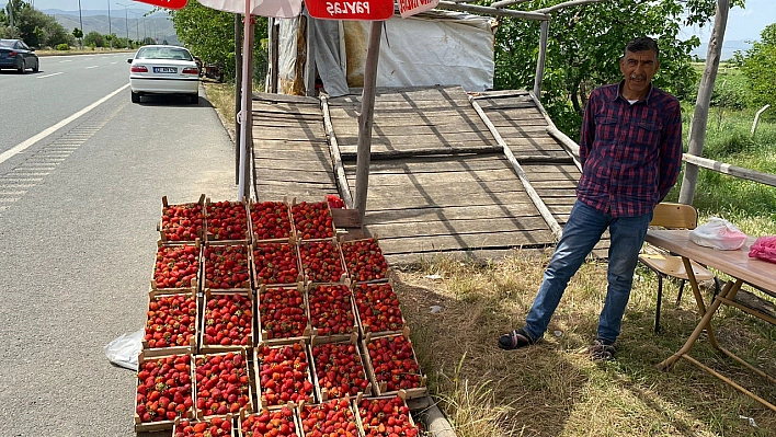 Ana yolda araçları durduran lezzet: Kuyulu çileği görücüye çıktı