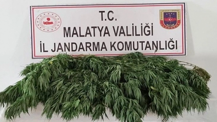 Arguvan jandarma ekipleri suçlulara göz açtırmıyor