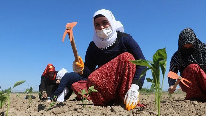 Ata tohumları ve sebze fidanları toprakla buluştu