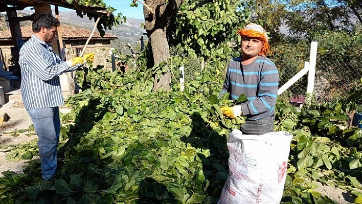 Aydın'ın Dut Yaprağı Elazığ'a Gidiyor