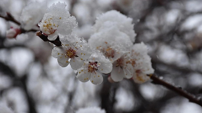 Bahar geldi diye sevinen Elazığ'a Meteoroloji'den kritik uyarı!