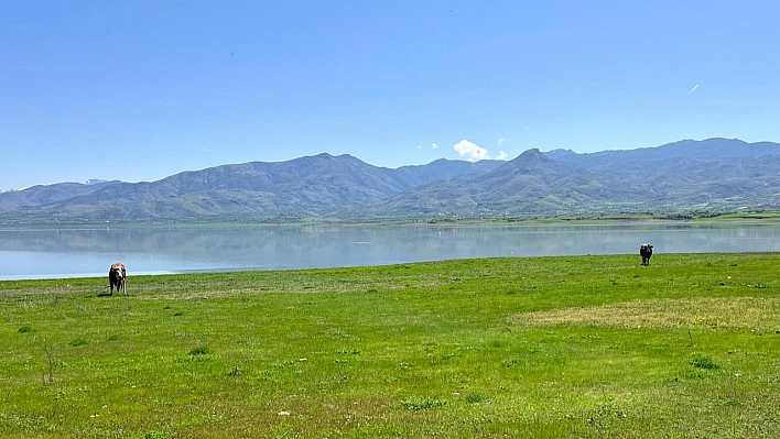 Baharın Gelmesine En Çok Onlar Sevindi