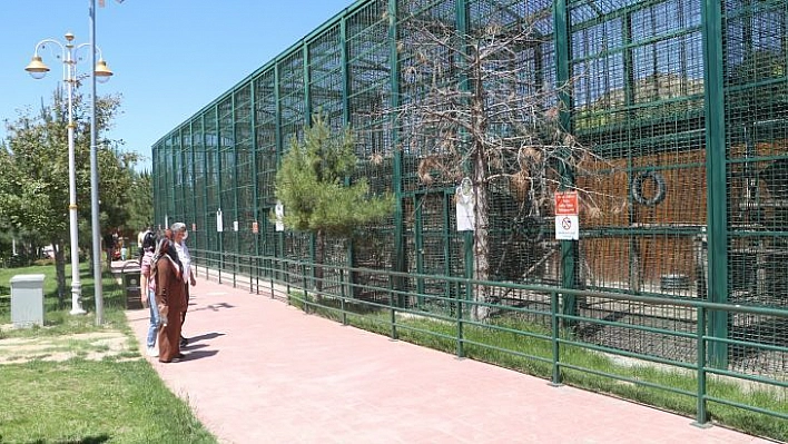 Baharla şenlenen hayvanat bahçesi ziyaretçilerini bekliyor