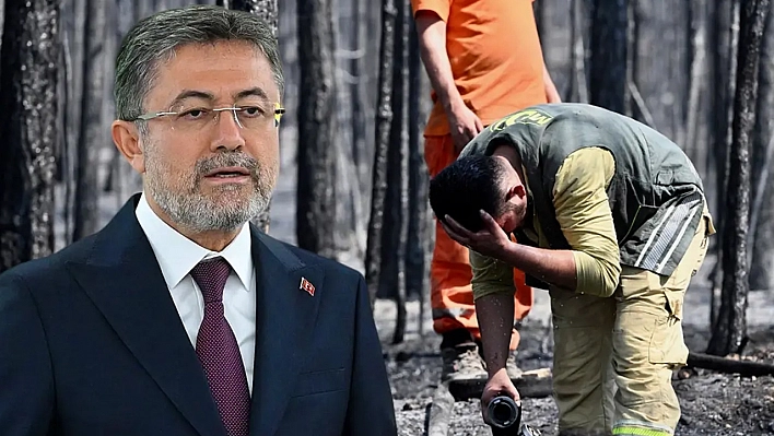 Bakan Yumaklı: 4 ilde yangınlar kontrol altında sadece Bursa'da devam ediyor