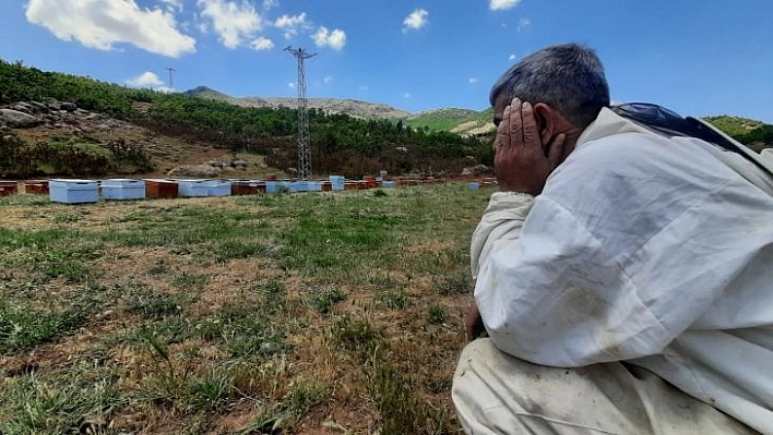 Bal şehri Bingöl'de kuraklık arıcıları da vurdu, dünya ikincisi bal tehlikeye girdi