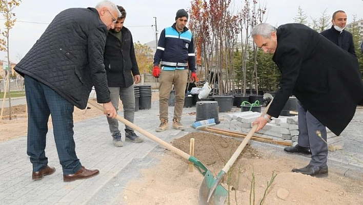 Başkan Güder gül fidanı dikti