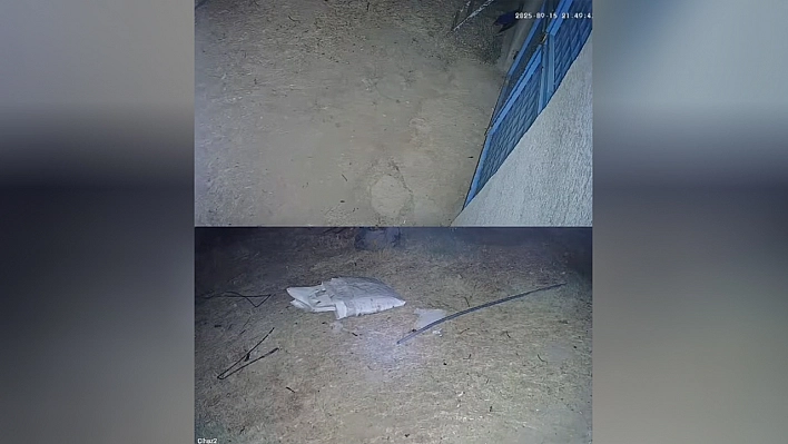 Baskil'de panik yaratan sesin nedeni belli oldu