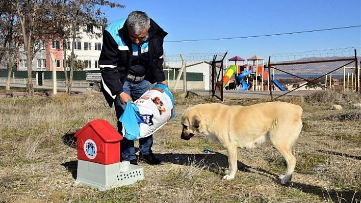 Battalgazi'de can dostlar için 19 yeni besleme noktası