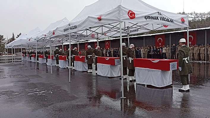 'Bil Oğlum'