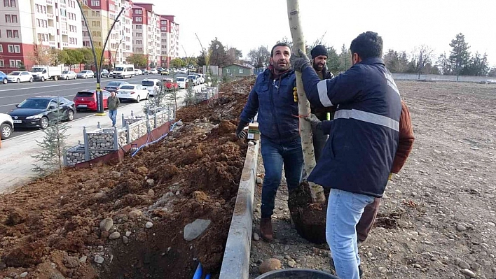 Bingöl Belediyesinden hummalı çalışma