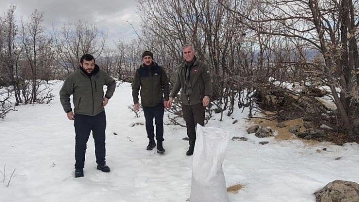 Bingöl'de  yaban hayvanları için doğaya yem bırakıldı