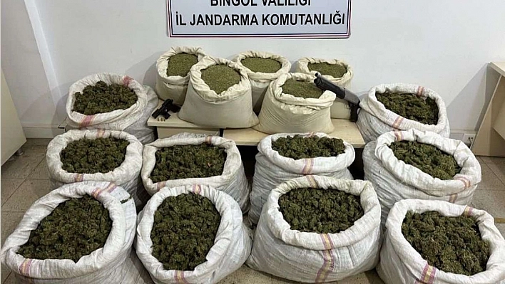 Bingöl'de 11 milyon kök kenevir ve 163 kilo toz esrar ele geçirildi