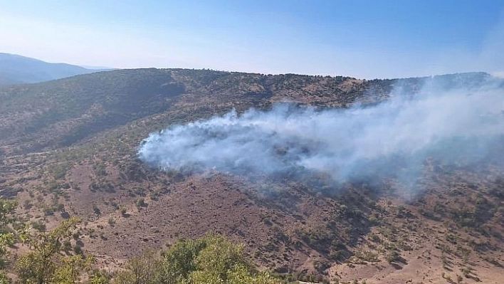 Bingöl'de 2 ayrı noktada çıkan orman yangını büyümeden söndürüldü