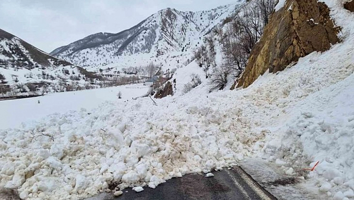 Bingöl'de 3 noktada çığ düştü