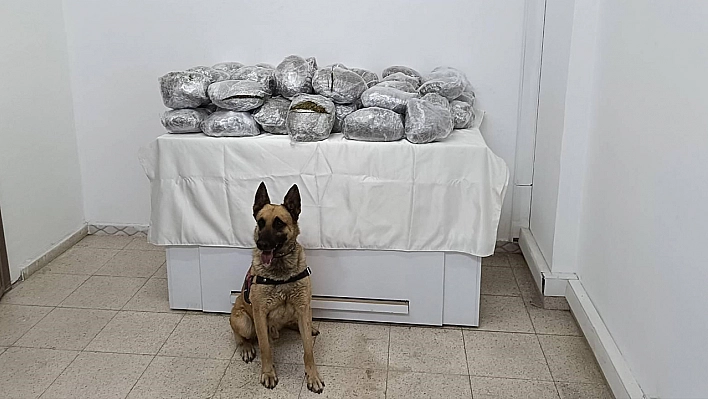 Bingöl'de 49 kilo esrar ele geçirildi