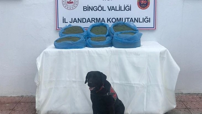 Bingöl'de 58 kilo uyuşturucu ele geçirildi, 22 şüpheli hakkında işlem yapıldı