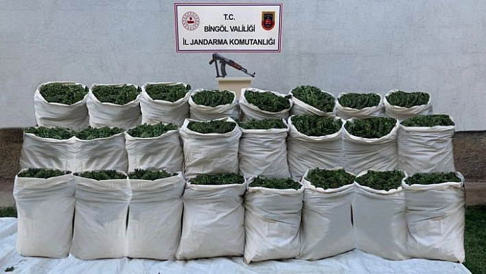 Bingöl'de 665 kilo esrar, 10 bin kök kenevir ele geçirildi