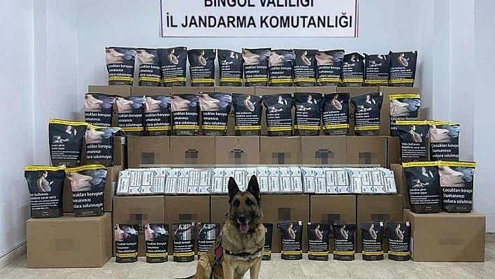 Bingöl'de 76 kilo kaçak tütün ele geçirildi: 1 gözaltı