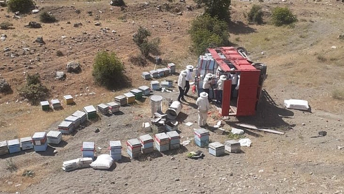 Bingöl'de arı yüklü kamyon devrildi