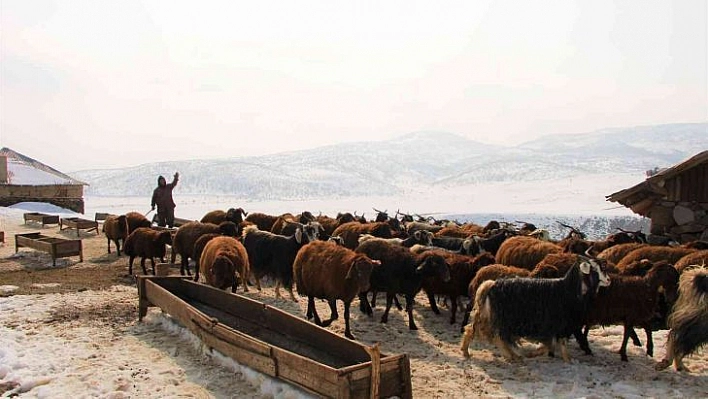 Bingöl'de besicilerin kış mesaisi sürüyor