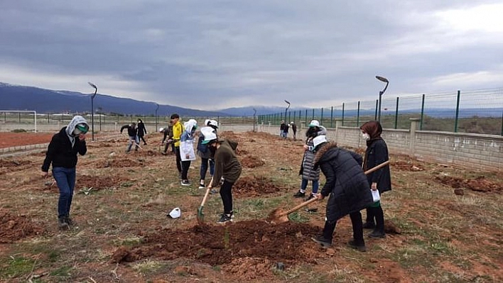 Bingöl'de bin 200 adet fidan toprakla buluşturuldu