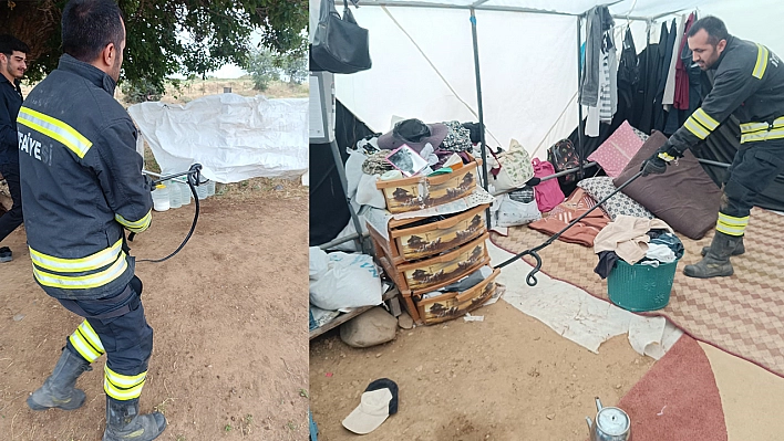 Bingöl'de Çadıra giren yılan paniğe neden oldu