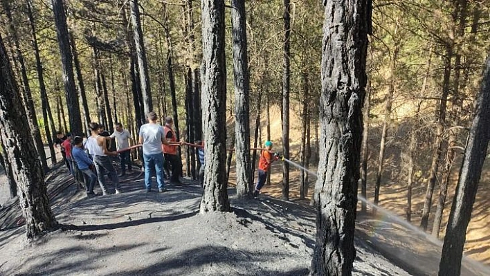 Bingöl'de çamlık alanda çıkan yangın büyümeden söndürüldü