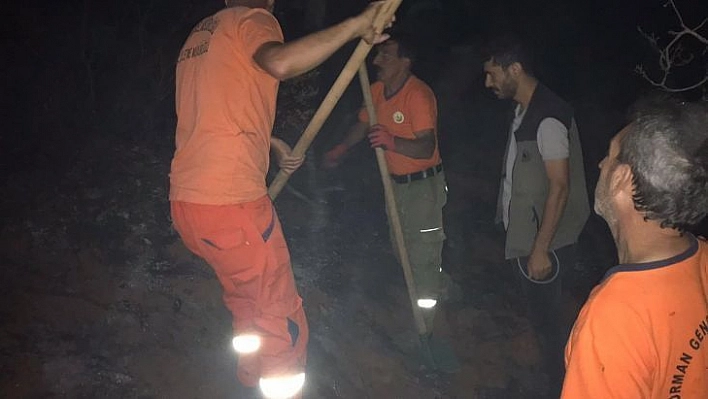 Bingöl'de çıkan orman yangını söndürüldü