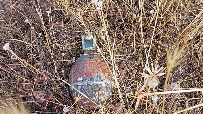 Bingöl'de el bombası ve mayın imha edildi