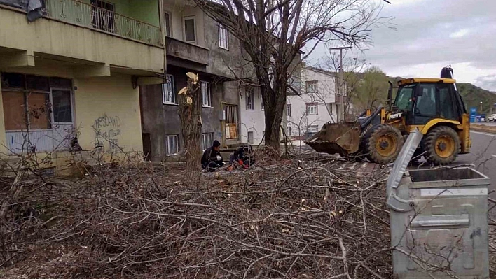 Bingöl'de fırtına nedeniyle devrilen ağaçlar, belediye ekiplerince kaldırılıyor