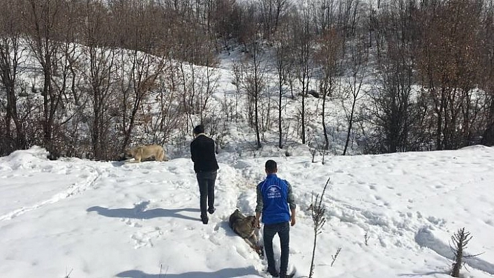 Bingöl'de gönüllüler doğaya yem bıraktı